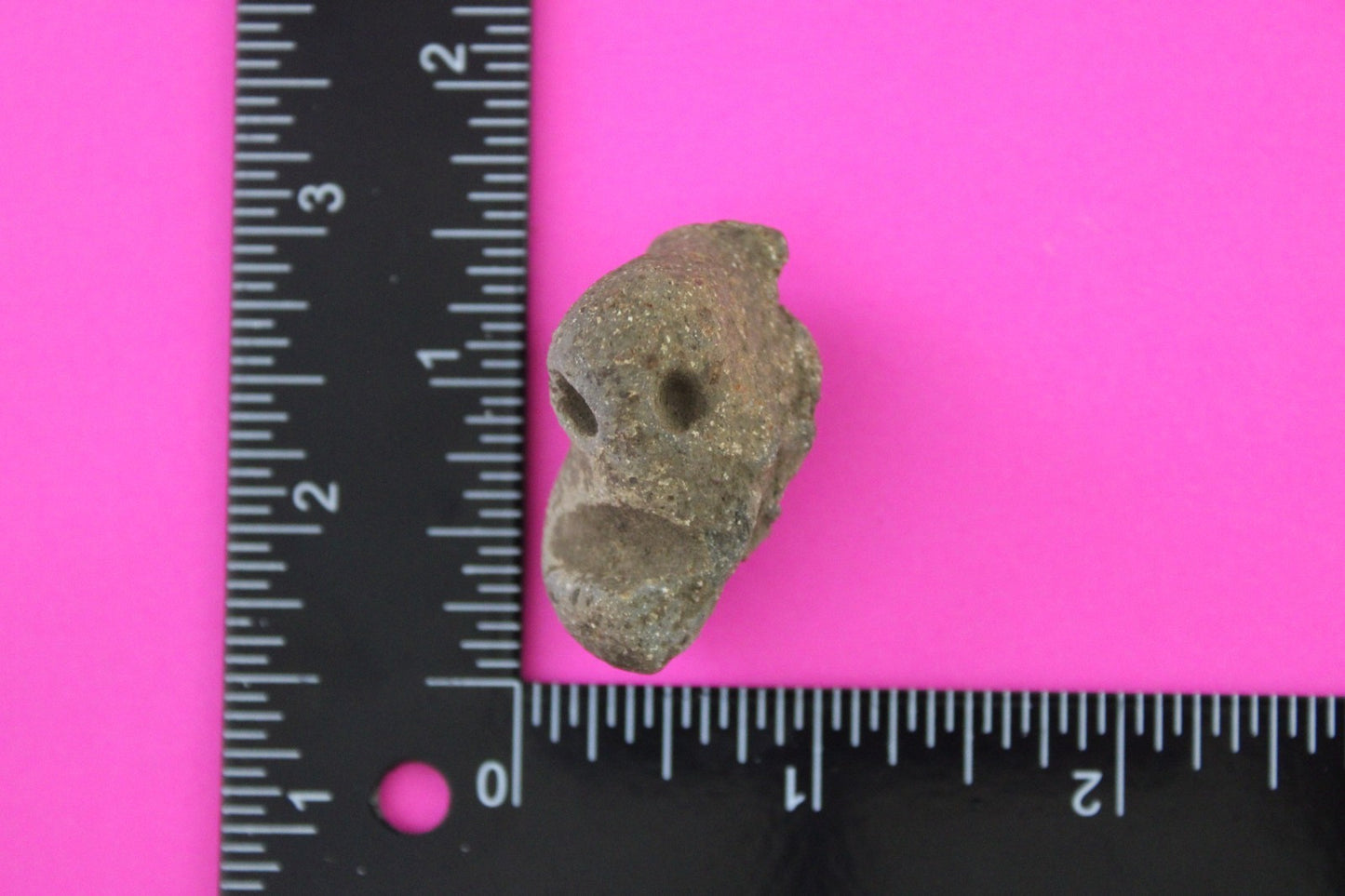 Puerto Rico Taino Pre Columbian Pottery Artifact FREE Display Case 1000AD COA 69