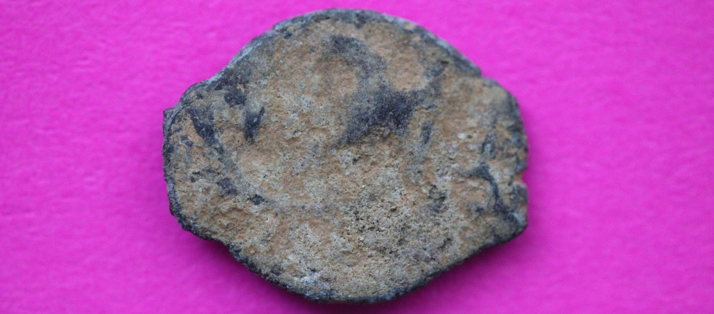 Widows Mite Coin Holy Land Artifact Free Display Frame Jesus Christ Lifetime 161