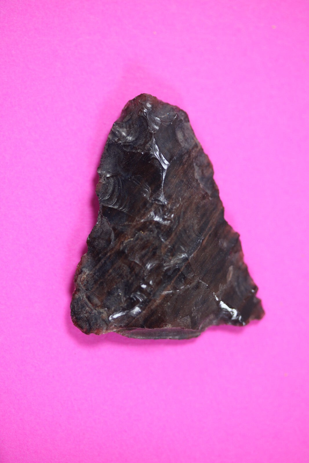 Pre Columbian Artifact Authentic Aztec Arrowhead Battle of Mexico City COA 60