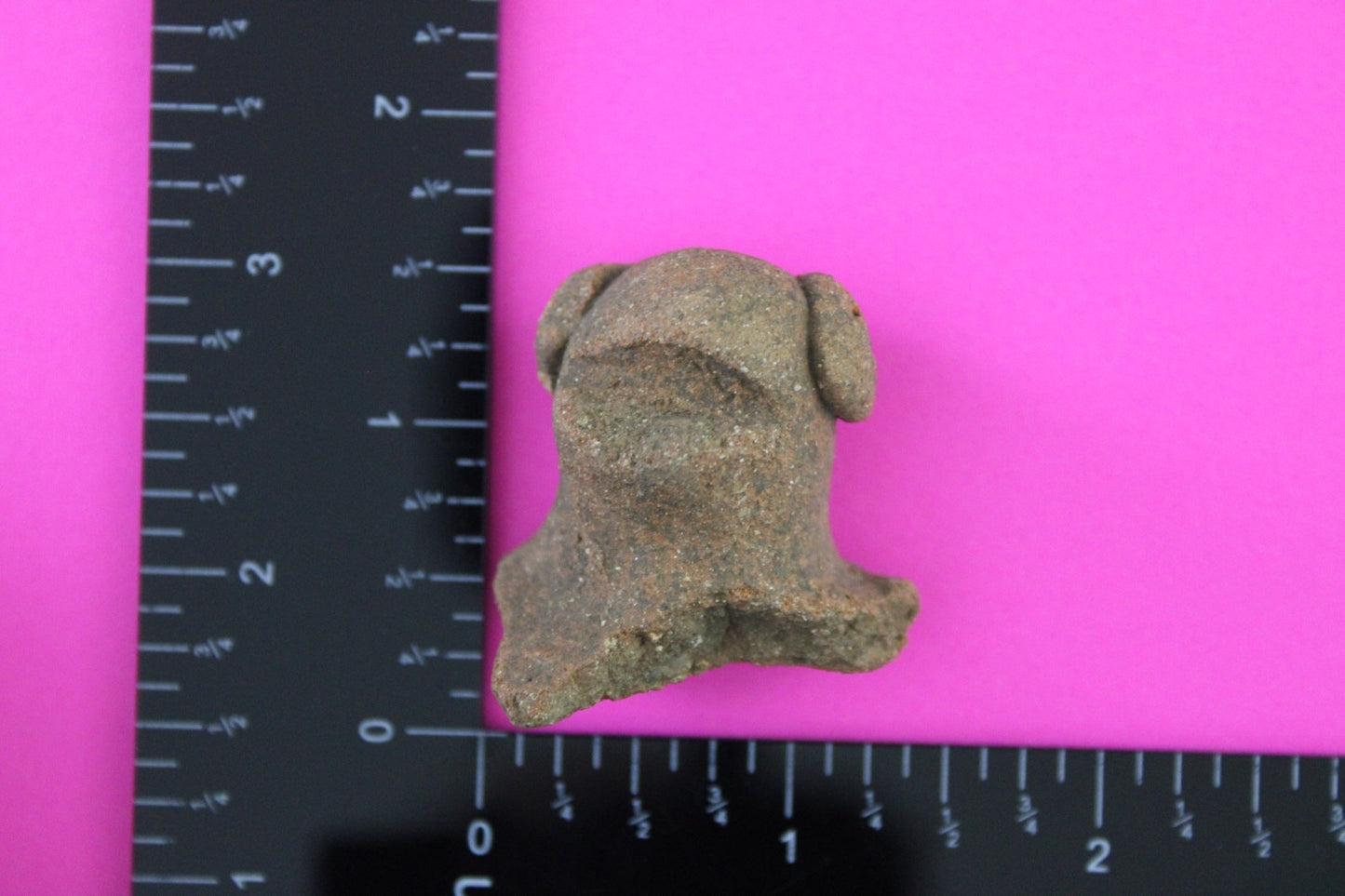 Puerto Rico Taino Pre Columbian Pottery Artifact FREE Display Case 1000AD COA103