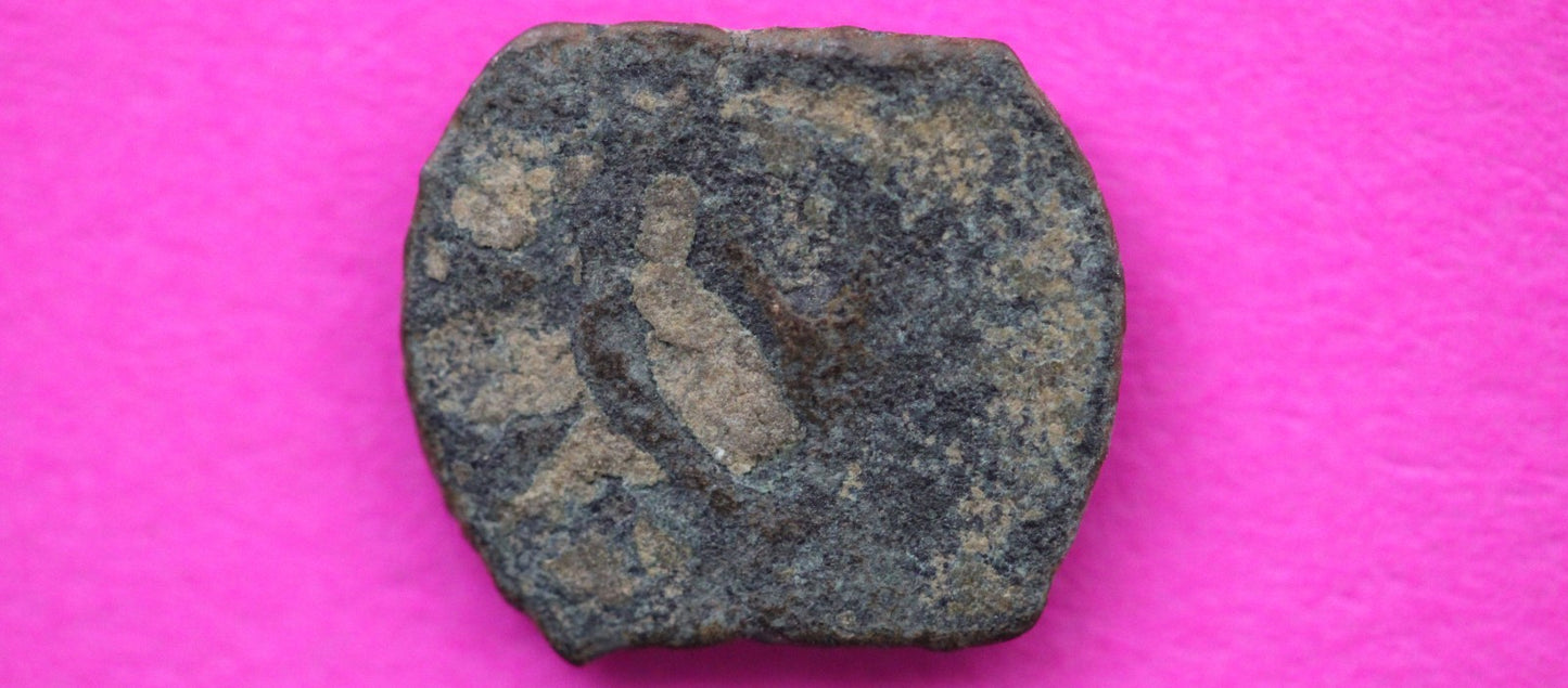 Widows Mite Coin Holy Land Artifact Free Display Frame Jesus Christ Lifetime 141