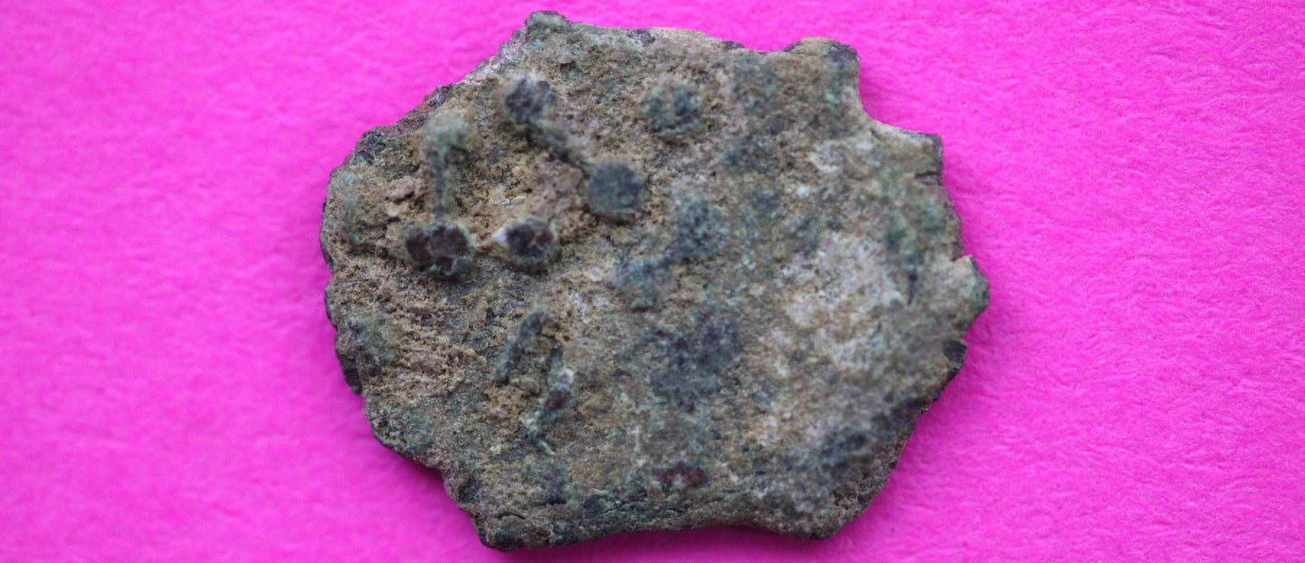 Widows Mite Coin Holy Land Artifact Free Display Frame Jesus Christ Lifetime 45