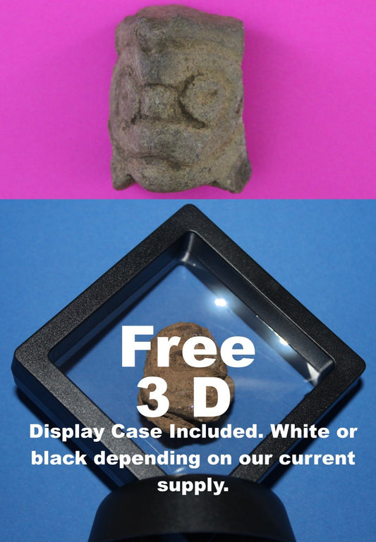 Puerto Rico Taino Pre Columbian Pottery Artifact FREE Display Case 1000AD COA 84