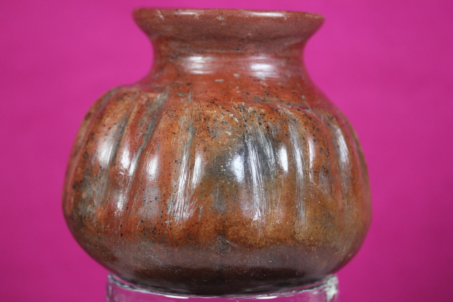 Pre Columbian Artifact Colima 300 BC-300 AD Gadrooned Jar Authentic COA J14