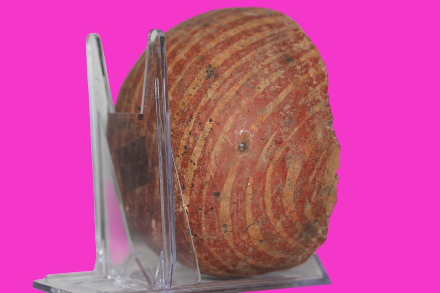 Pre Columbian Authentic Artifact Jalisco Small Bowl Mexico 200BC - 200AD COA J43