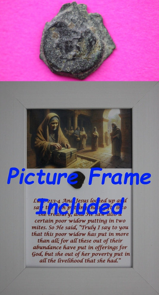 Widows Mite Coin Holy Land Artifact Free Display Frame Jesus Christ Lifetime 14