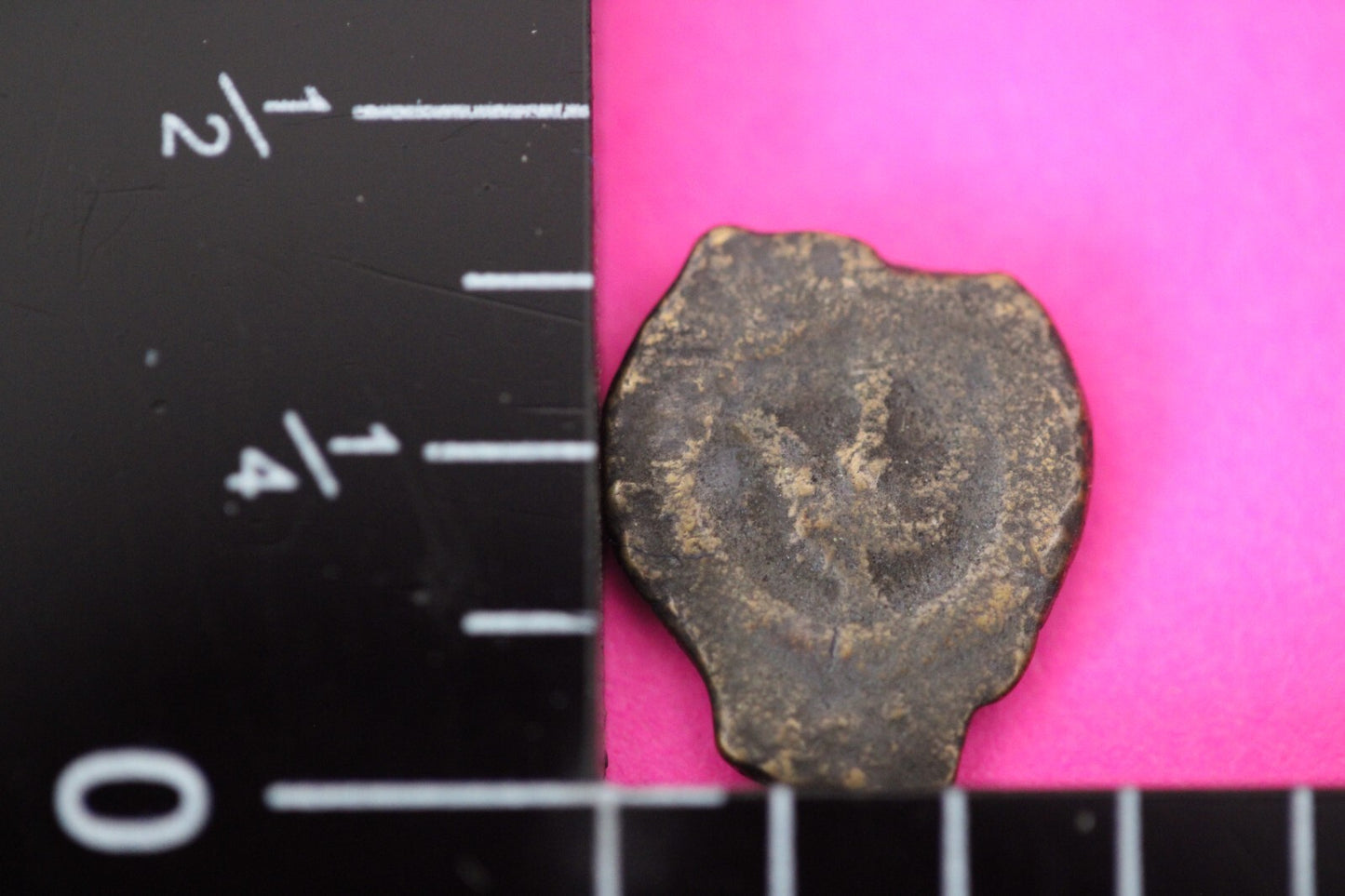 Widows Mite Coin Holy Land Artifact Jesus Christ Lifetime Free Display Frame 020