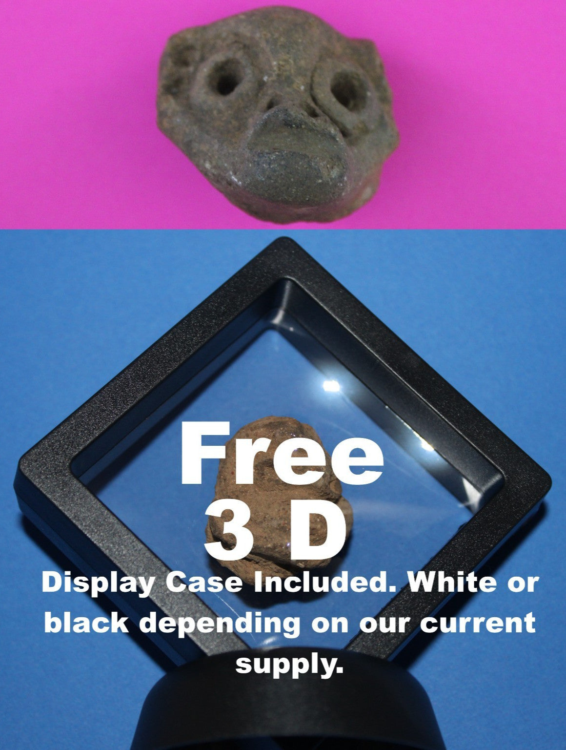 Puerto Rico Taino Pre Columbian Pottery Artifact FREE Display Case 1000AD COA 86