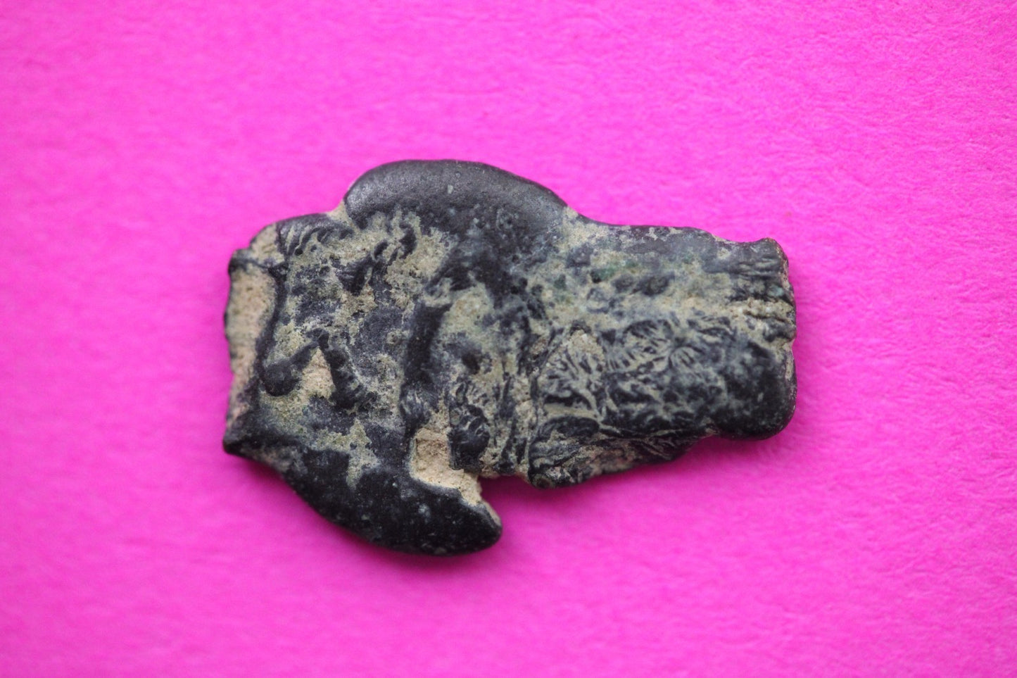 Widows Mite Coin Holy Land Artifact Free Display Frame Jesus Christ Lifetime 196