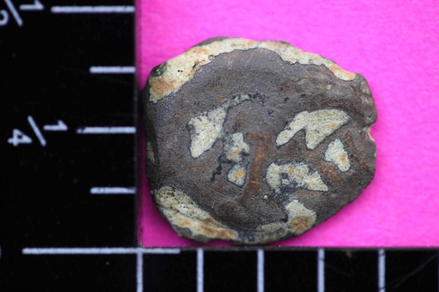 Widows Mite Coin Holy Land Artifact Free Display Frame Jesus Christ Lifetime 50