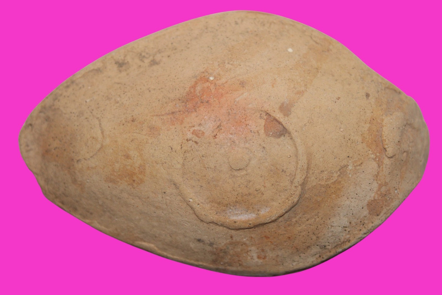 Ancient Holy Land Oil Lamp Artifact From Jesus Christ Home Land 100-500AD COA 55