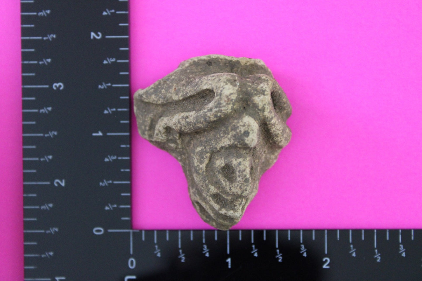 Puerto Rico Taino Pre Columbian Pottery Artifact FREE Display Case 1000AD COA 99