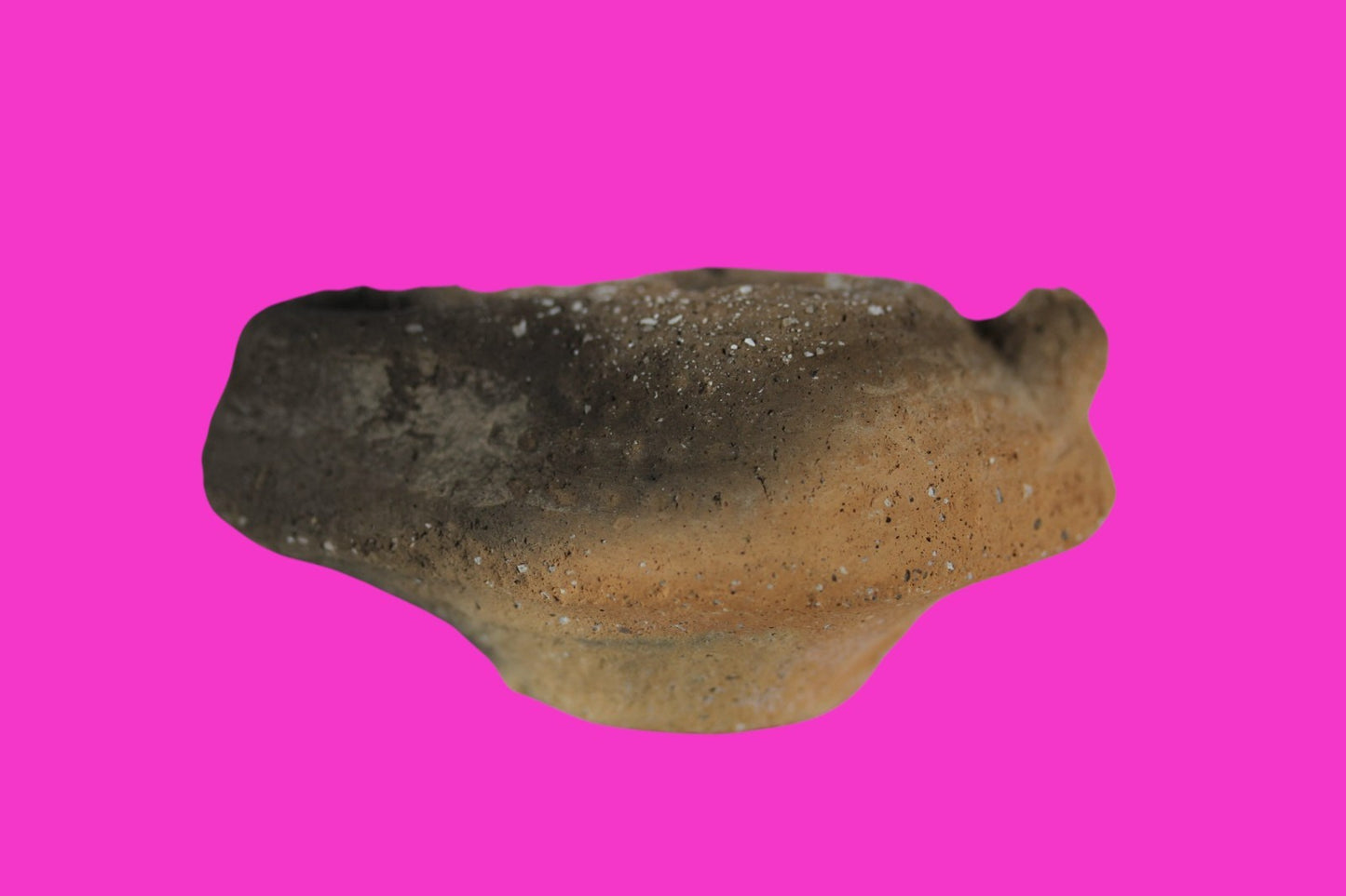 Ancient Holy Land Oil Lamp Artifact  From Jesus Christ Homeland 400-600AD COA 34