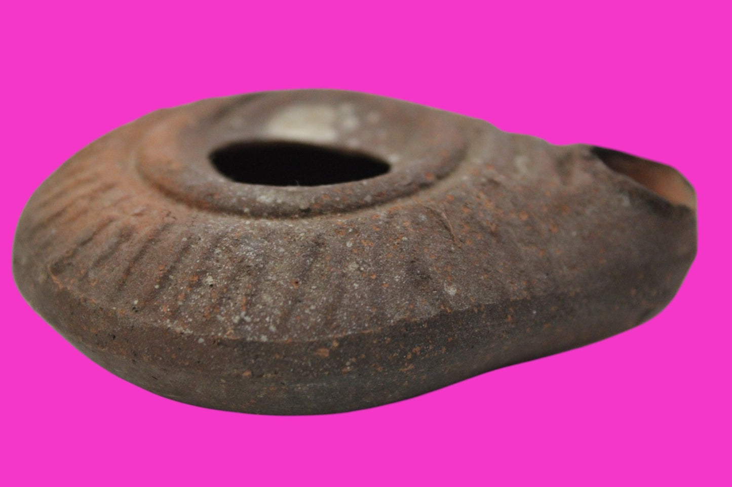 Ancient Holy Land Oil Lamp Artifact From Jesus Christ Home Land 100-500AD COA 58