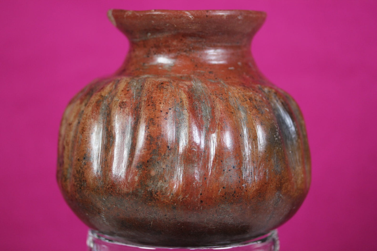 Pre Columbian Artifact Colima 300 BC-300 AD Gadrooned Jar Authentic COA J14