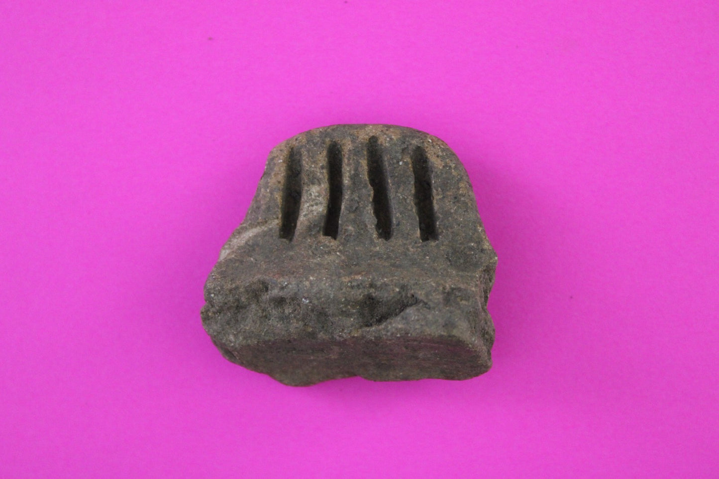 Puerto Rico Taino Pre Columbian Pottery Artifact FREE Display Case 1000AD COA 82