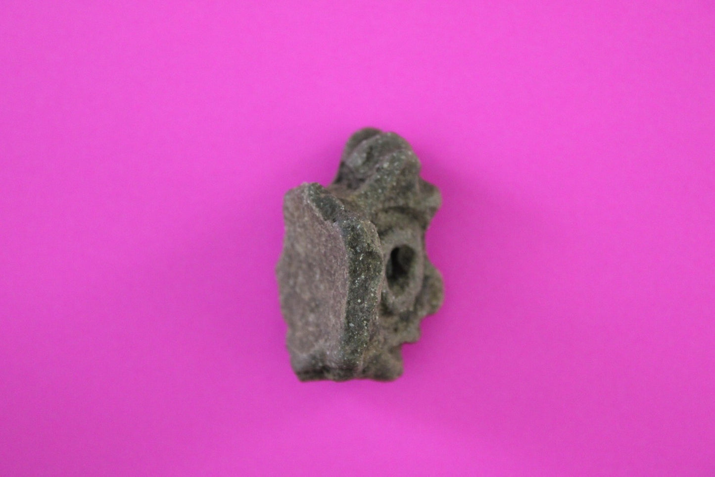 Puerto Rico Taino Pre Columbian Pottery Artifact FREE Display Case 1000AD COA 98