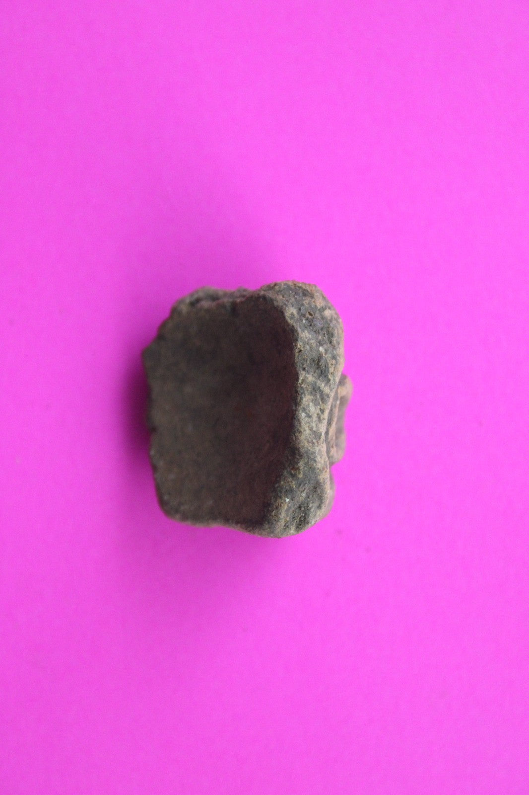 Puerto Rico Taino Pre Columbian Pottery Artifact FREE Display Case 1000AD COA 54