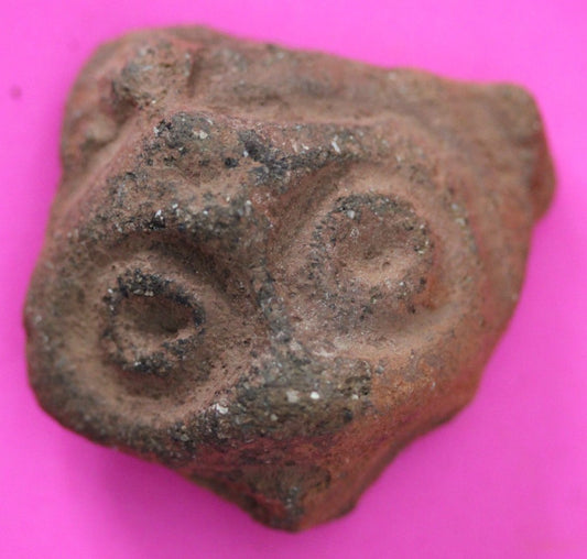 Puerto Rico Taino Pre Columbian Pottery Artifact FREE Display Case 1000AD COA 44