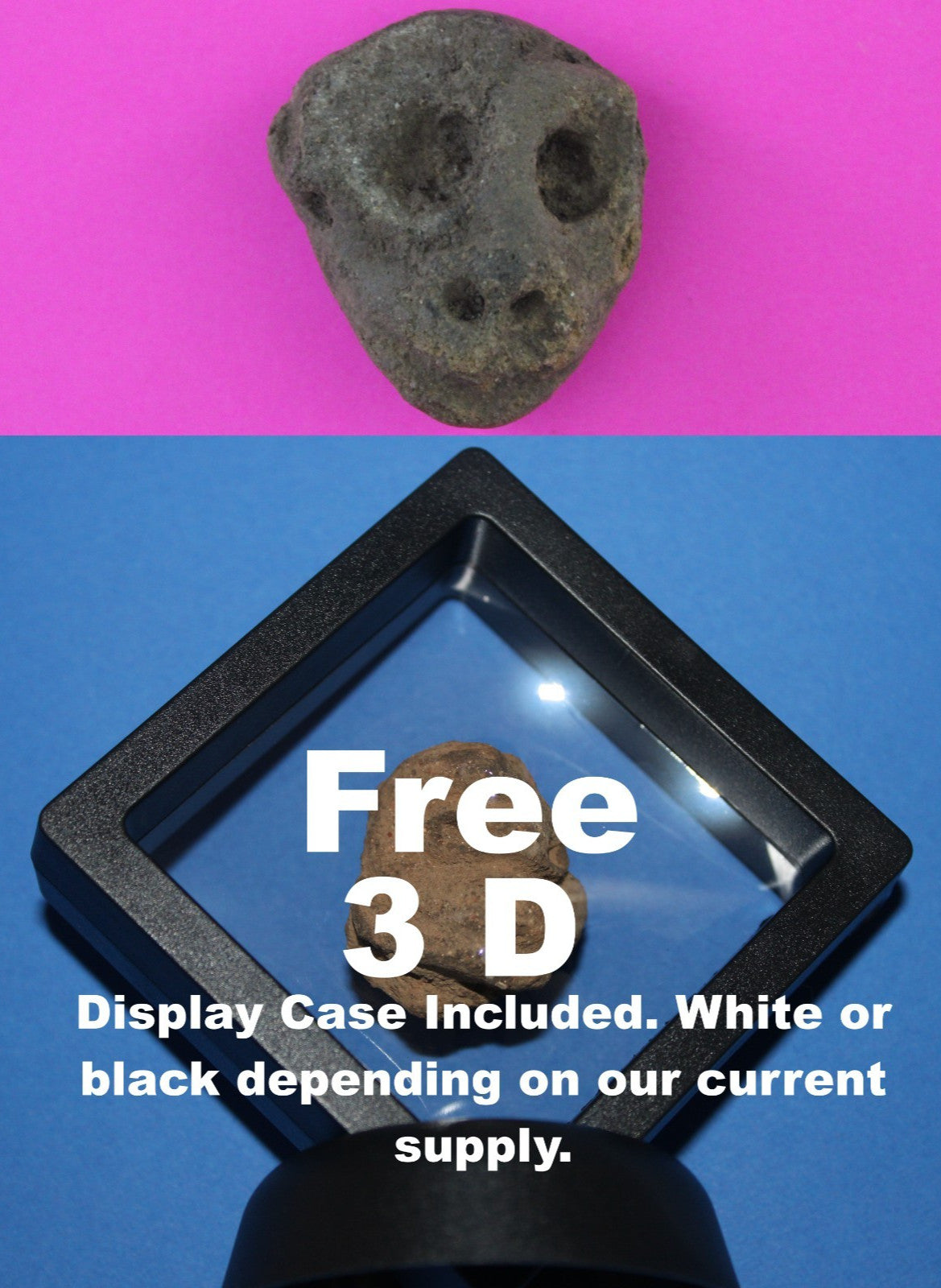 Puerto Rico Taino Pre Columbian Pottery Artifact FREE Display Case 1000AD COA 70