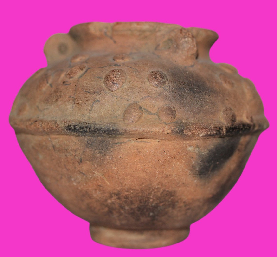 Pre Columbian Real Authentic Artifact Bowl Atlantic Watershed Costa Rica COA J81