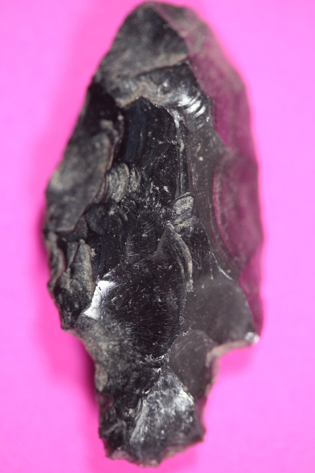 Authentic Pre Columbian Artifact Aztec Arrowhead Battle of Mexico City COA 15