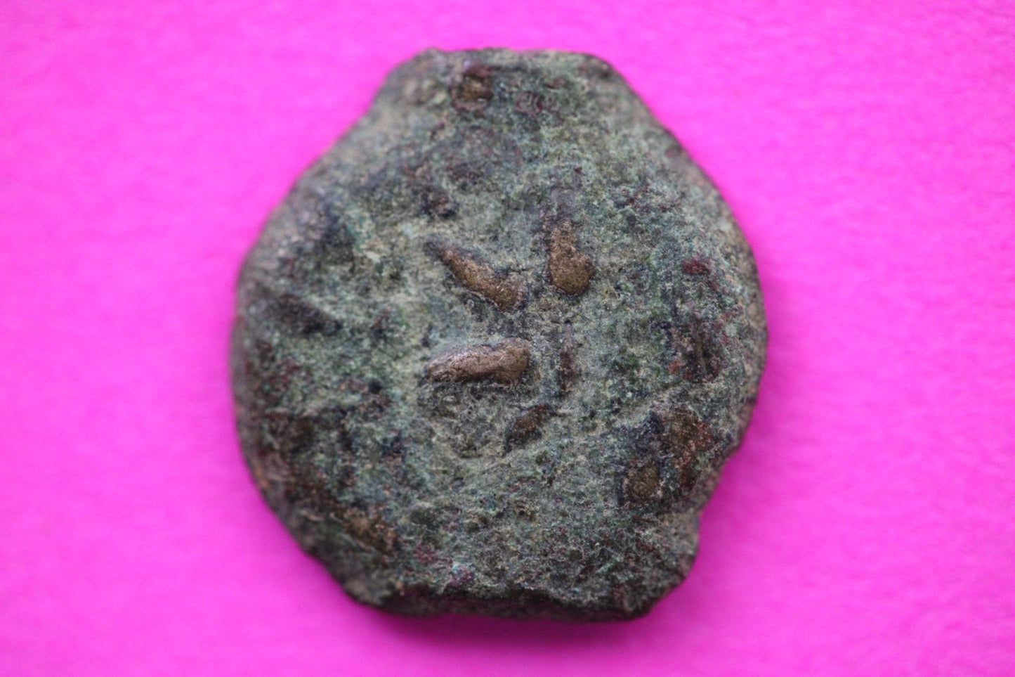 Widows Mite Coin Holy Land Artifact Free Display Frame Jesus Christ Lifetime 124