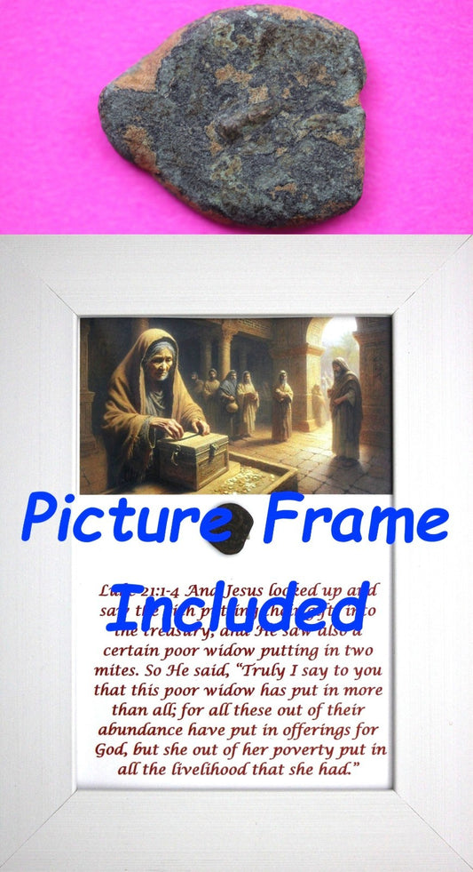 Widows Mite Coin Holy Land Artifact Free Display Frame Jesus Christ Lifetime 176