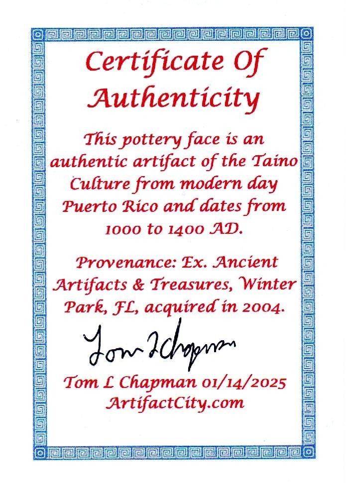 Puerto Rico Taino Pre Columbian Pottery Artifact FREE Display Case 1000AD COA 39