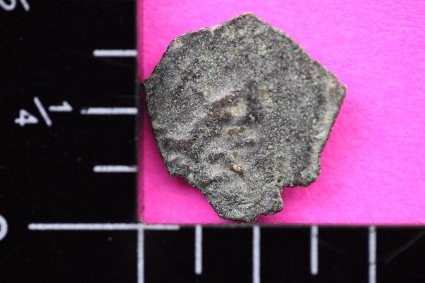 Widows Mite Coin Holy Land Artifact Free Display Frame Jesus Christ Lifetime 14