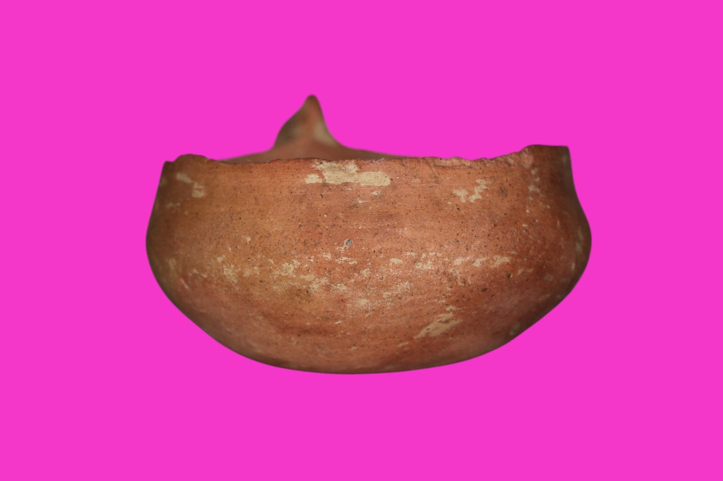 Time of Abraham Holy Land Artifact Ancient 4000 Year Old Cup  2000 BC COA J115