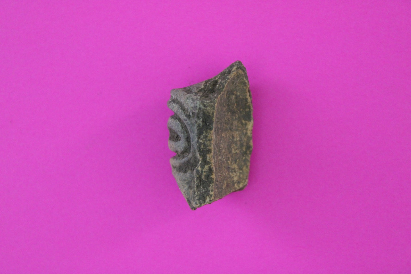 Puerto Rico Taino Pre Columbian Pottery Artifact FREE Display Case 1000AD COA101