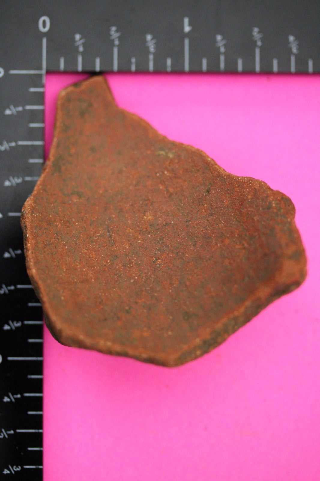 Puerto Rico Taino Pre Columbian Pottery Artifact FREE Display Case 1000AD COA 45