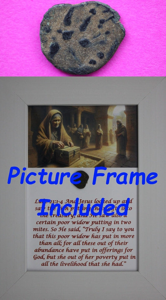 Widows Mite Coin Holy Land Artifact Jesus Christ Lifetime Free Display Frame 11