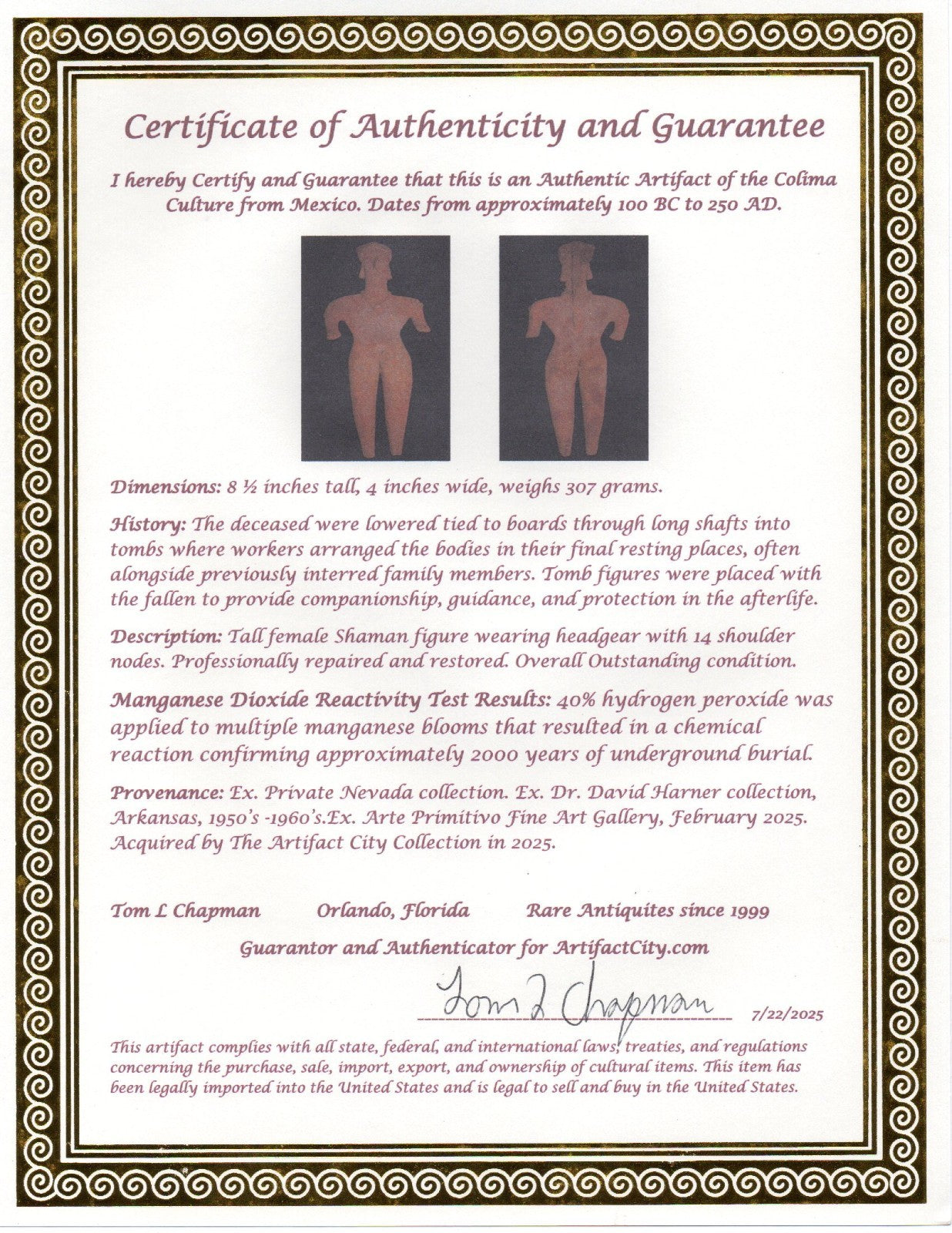 Pre Columbian Artifact 8in Female Shaman Tomb Figure Colima Mexico 100BC COA 254