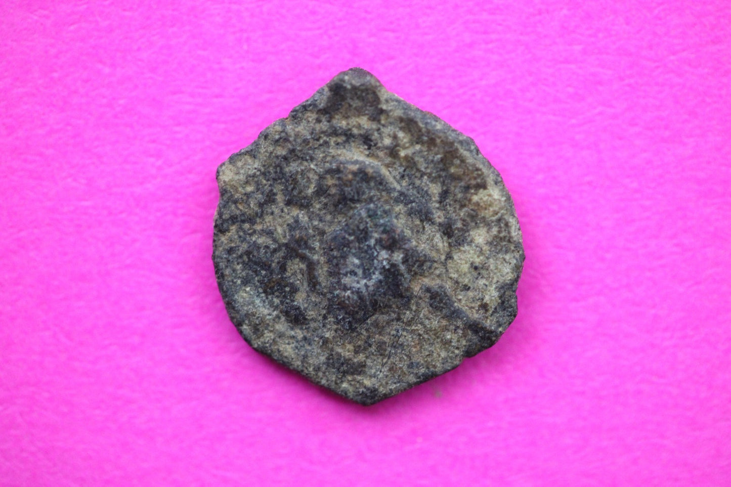 Widows Mite Coin Holy Land Artifact Free Display Frame Jesus Christ Lifetime 80