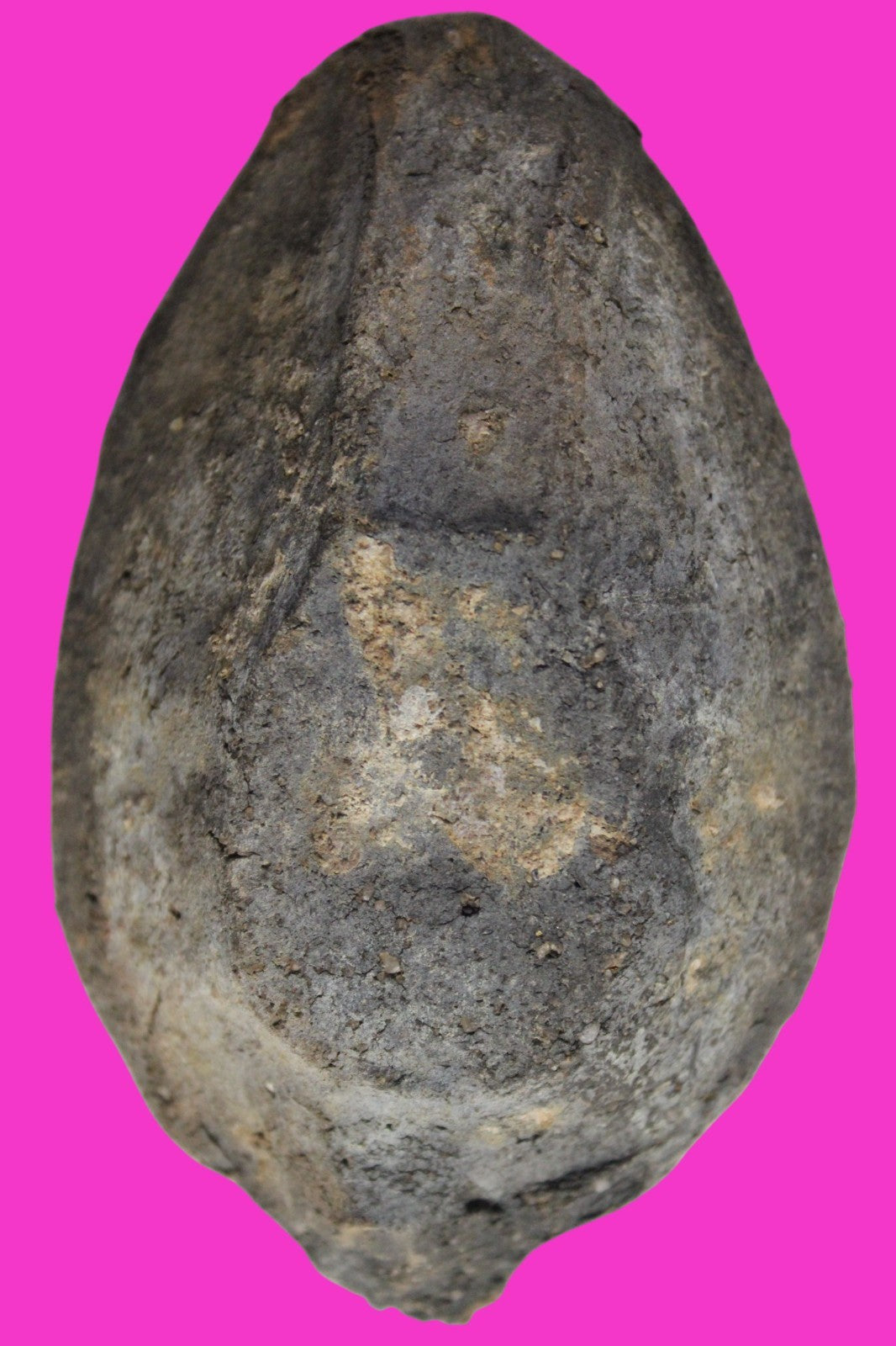 Oil Lamp Holy Land Ancient Artifact Jesus Christ Home Israel 300-600 AD COA 90