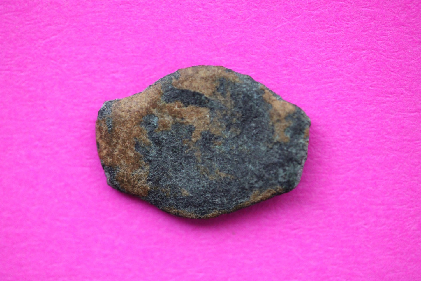 Widows Mite Coin Holy Land Artifact Free Display Frame Jesus Christ Lifetime 189