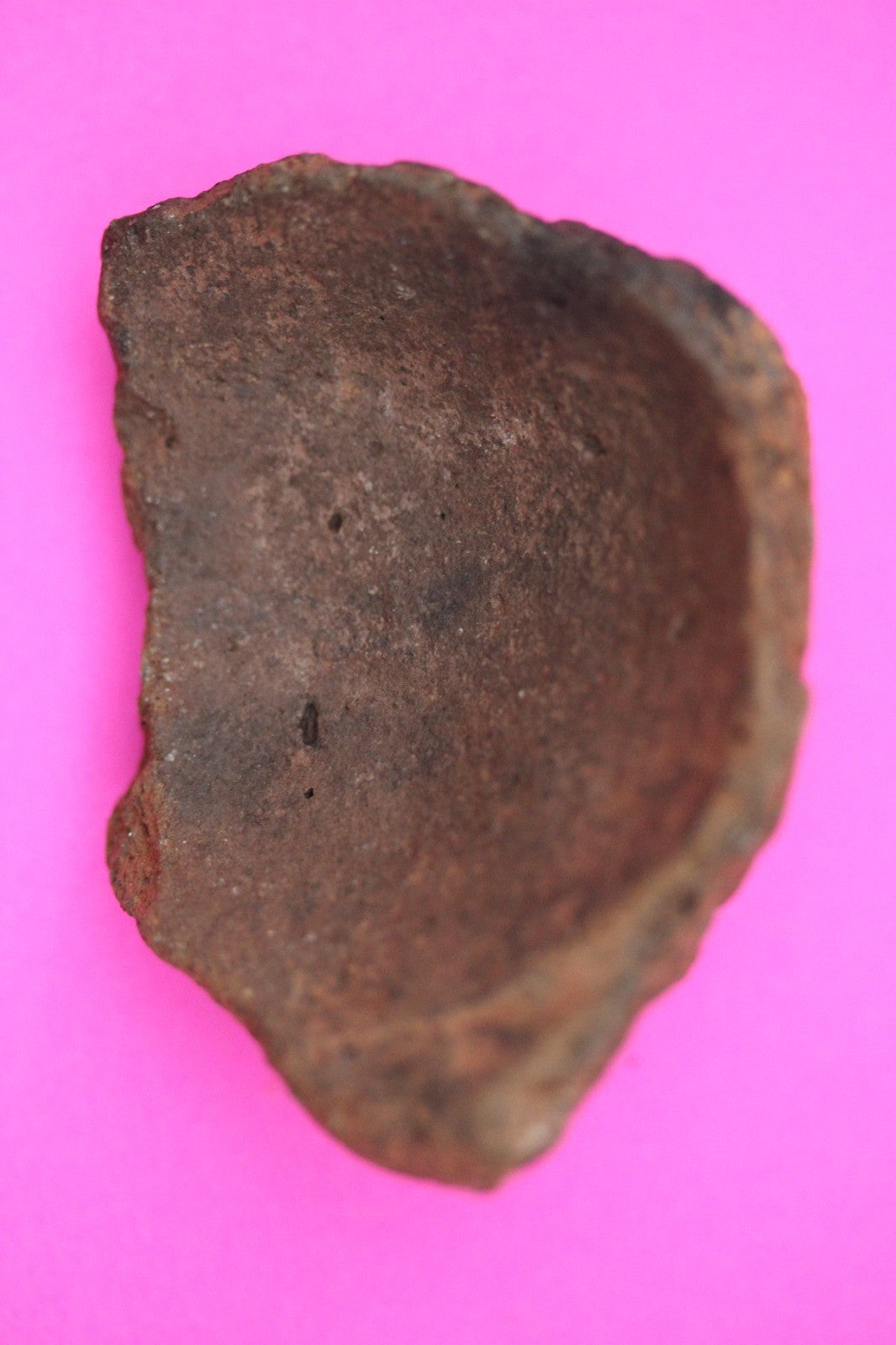 Puerto Rico Taino Pre Columbian Pottery Artifact FREE Display Case 1000AD COA 02