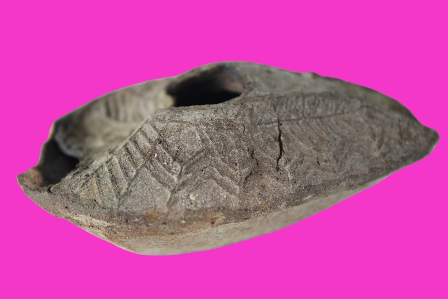 Ancient Holy Land Oil Lamp Artifact Rare Kiln Error Israel 300-600 AD COA 129