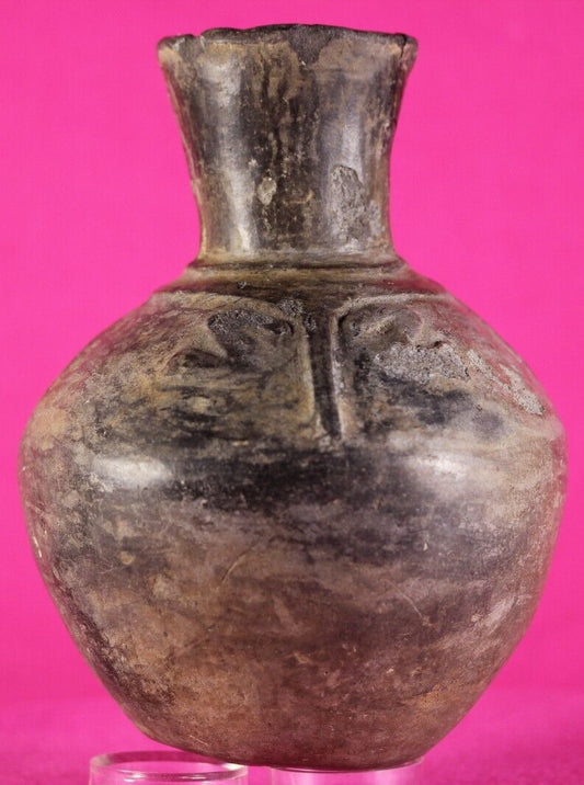 Pre Columbian Artifact Authentic Moche Frog Pottery Jar 100-800 AD Peru COA J60