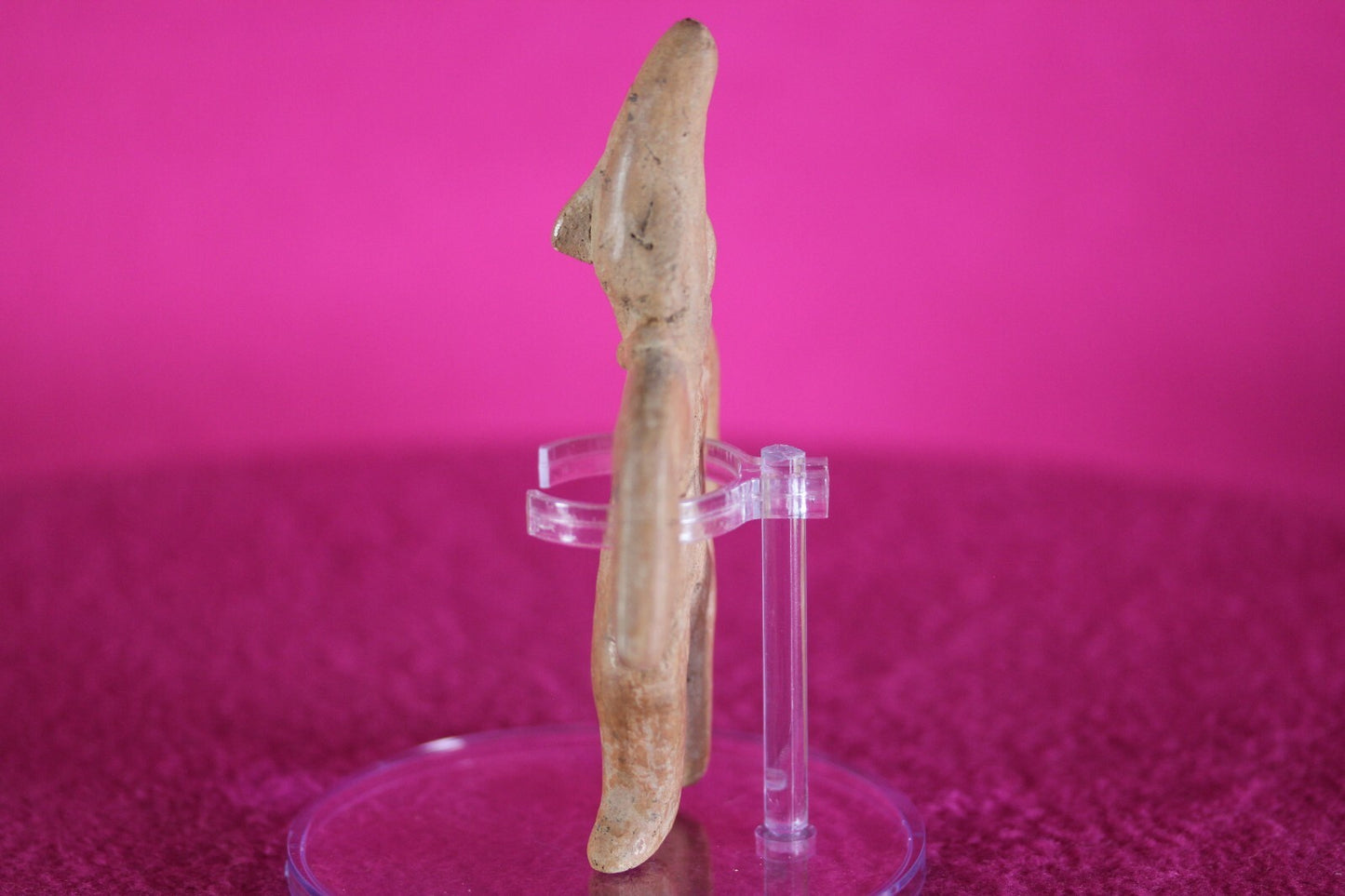 Pre Columbian Artifact Authentic  Archaic Tomb Figure Colima Mexico COA T97