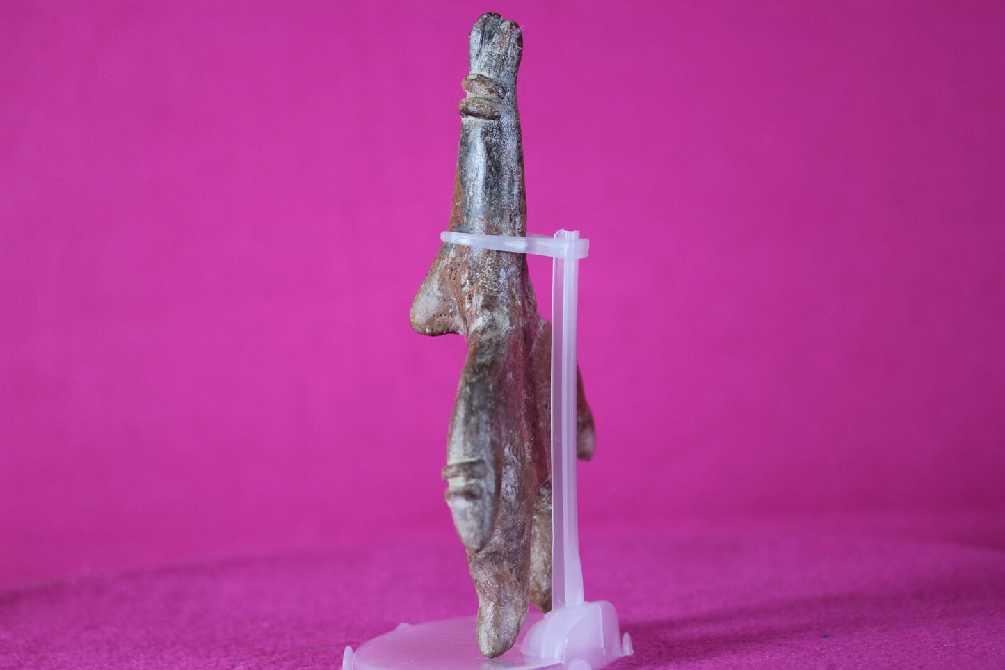 Pre Columbian Artifact Colima Shaman Mexico 300BC-300AD Certified COA J38