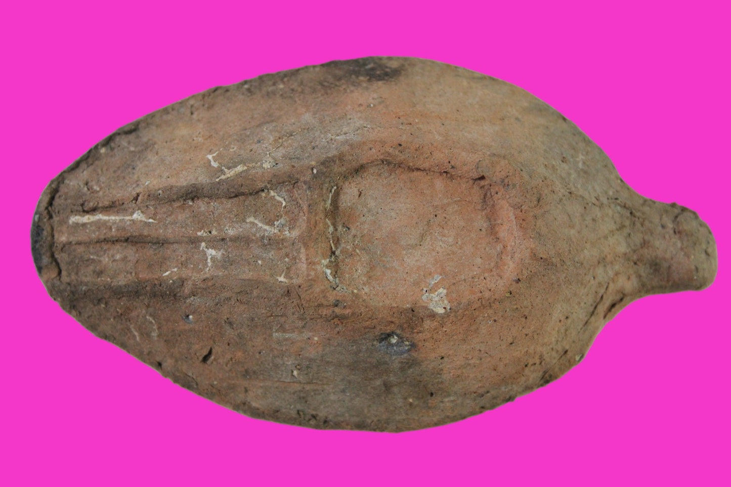 Oil Lamp Holy Land Ancient Artifact Jesus Christ Home Israel 300-600 AD COA 83