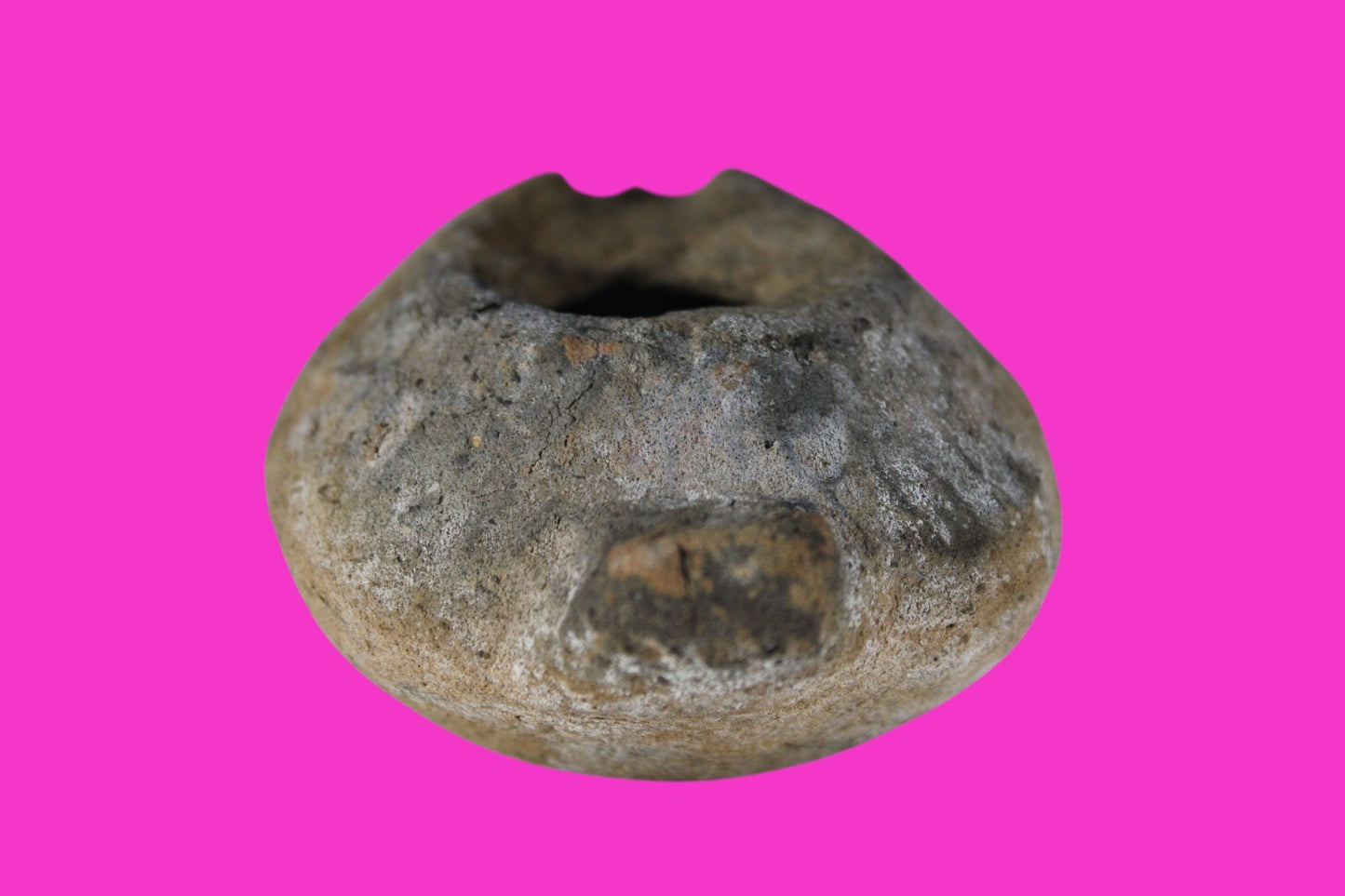 Very Big Ancient Holy Land Oil Lamp Artifact Jesus Christ Home 300-600 AD COA 93