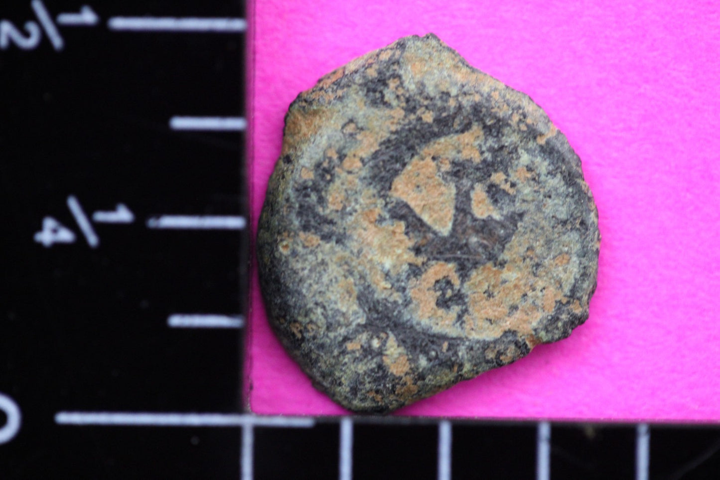 Widows Mite Coin Holy Land Artifact Free Display Frame Jesus Christ Lifetime 47