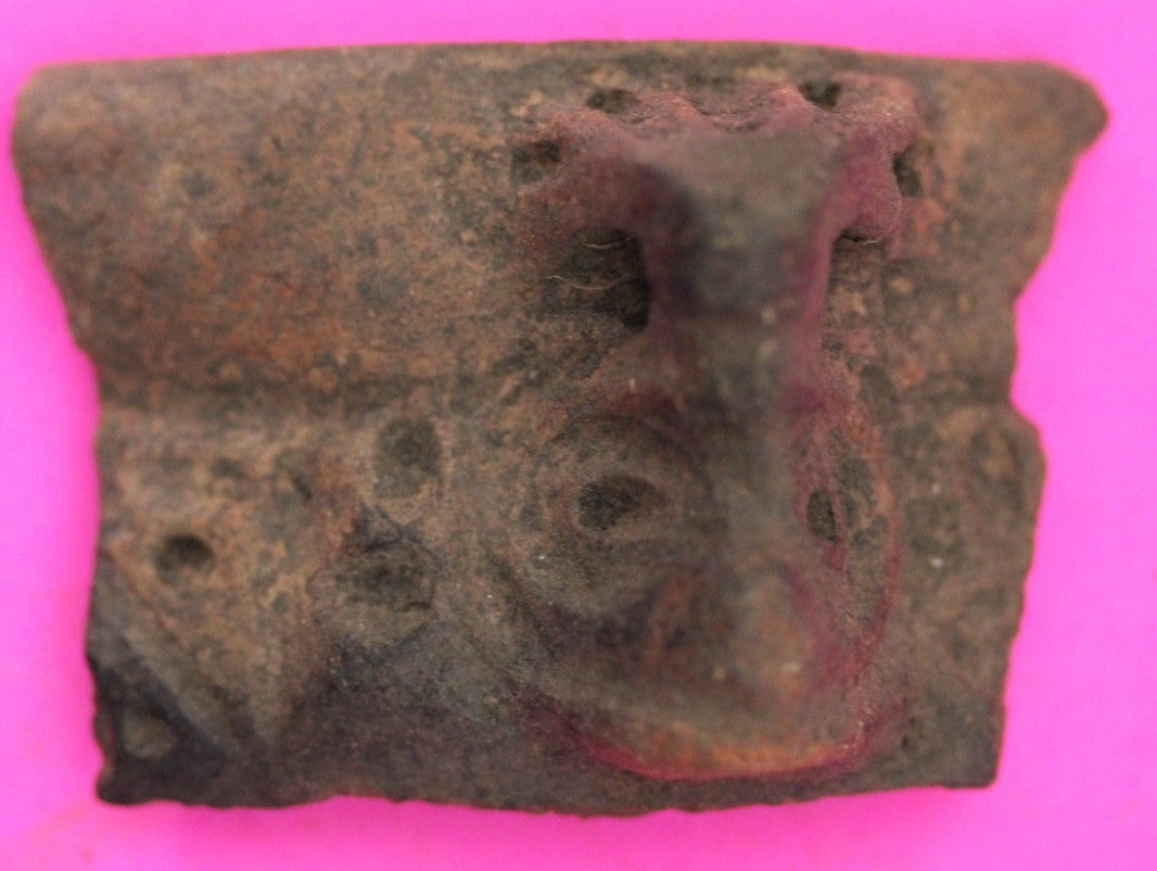 Puerto Rico Taino Pre Columbian Pottery Artifact FREE Display Case 1000AD COA 32