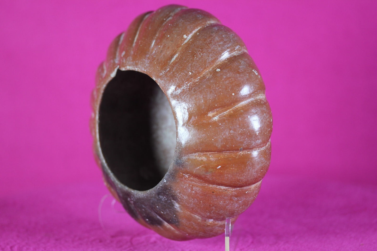 Pre Columbian Authentic Artifact Gadrooned Bowl Michoacan Mexico 200 BC COA T46