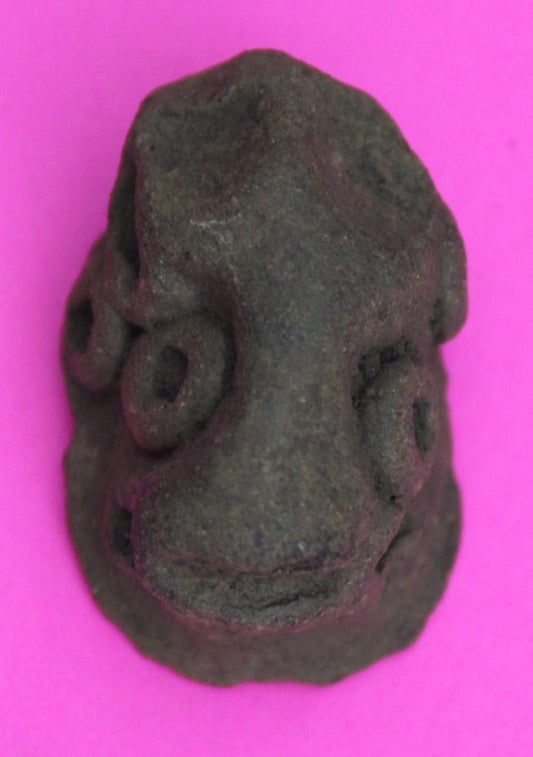 Puerto Rico Taino Pre Columbian Pottery Artifact FREE Display Case 1000AD COA 31