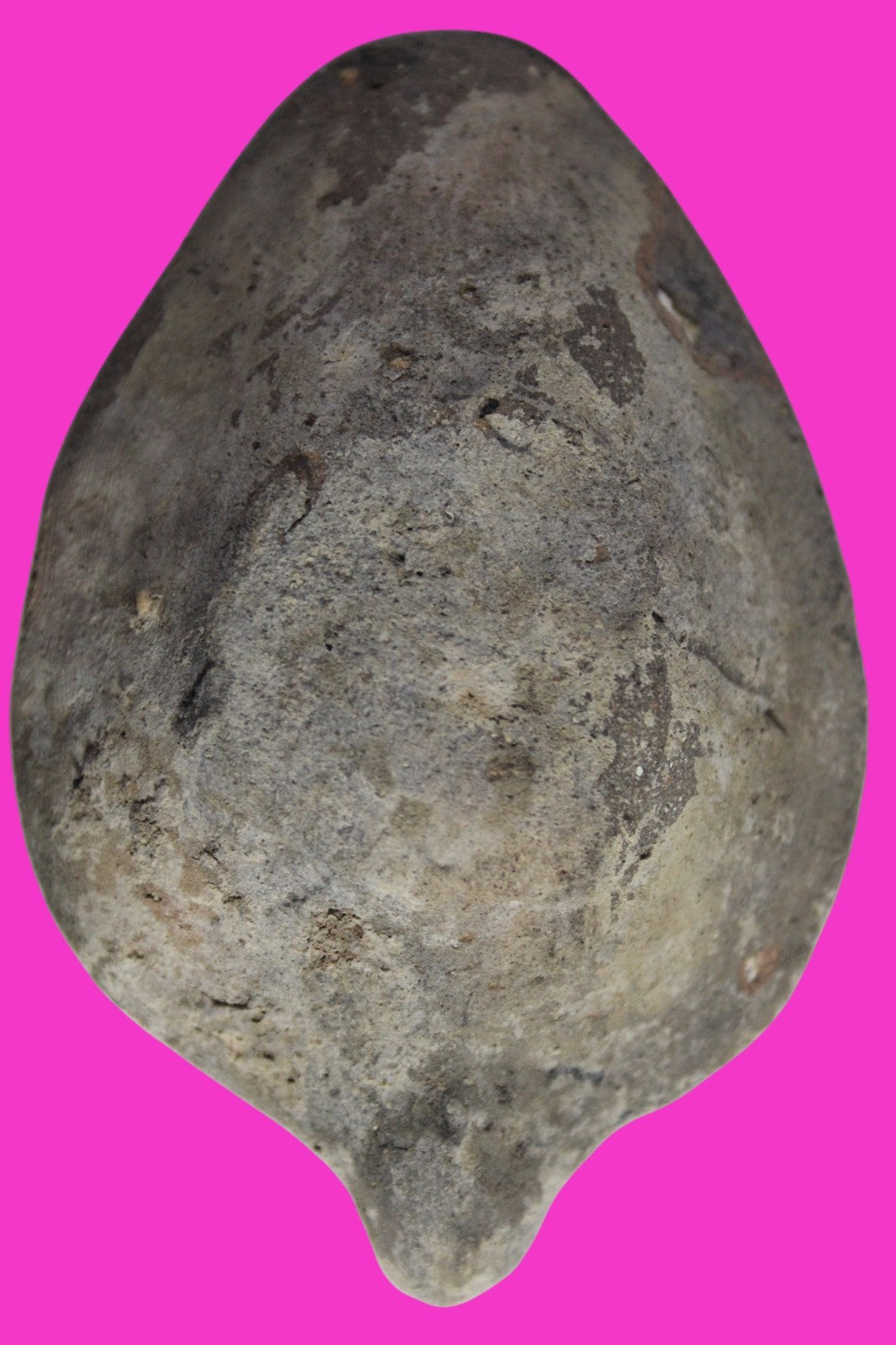 Oil Lamp Holy Land Ancient Artifact Jesus Christ Home Israel 300-600 AD COA 92